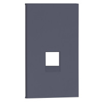 Интернет RG-45/RG11 лицевая панель 2 модульная цвет-Грифель матовый Meiton, AL07M2