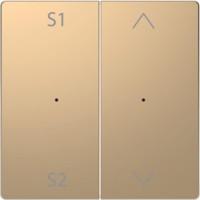 D-Life PlusLink Клавиша 2-ная с S1/S2, с символами, шампань