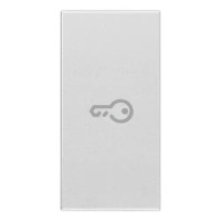 Vimar Клавиша для осевых устройств на 1 модуль символом "ключ", серебро матовое, 20131.P.N