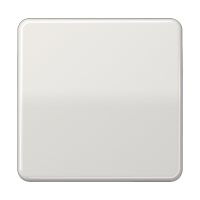 CD590LG - Одинарная клавиша для балансирных механизмов выключателей (кнопок), в комплекте с CD90HP (крепежный, Jung