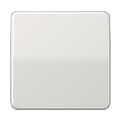 CD590LG - Одинарная клавиша для балансирных механизмов выключателей (кнопок), в комплекте с CD90HP (крепежный, Jung