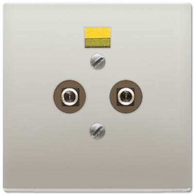 Штепсельная розетка для выравнивания потенциалов; благородная сталь, ES2965-2