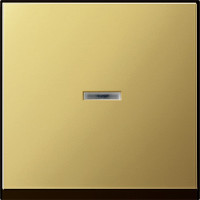 0290604 Gira Клавиша с подсветкой
