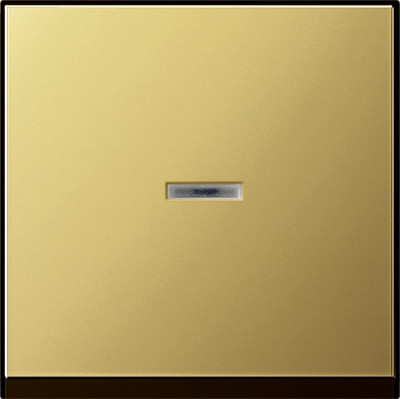 0290604 Gira Клавиша с подсветкой