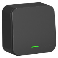 BLNVA101106 - BLANCA О/У 1-клавишный ВЫКЛЮЧАТЕЛЬ (сх.1) с подсветкой, 10А, 250В, АНТРАЦИТ, Systeme Electric