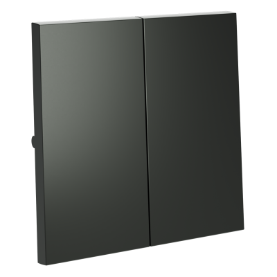 Клавиши для выключателя/переключателя двухклавишного, S70 (титан), VLS000306