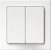 Berker Выключатель 2-клавишный, матовый белый
