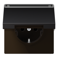 SCHUKO розетка с крышкой и полем для надписи, AL1520NAKLD