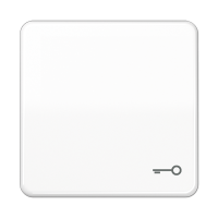 Клавиша ударопрочная с символом "ключ"; белая, CD590BFTWW