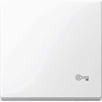 SM Клавиша 1-ная с символом «Ключ»,  активно-бел.