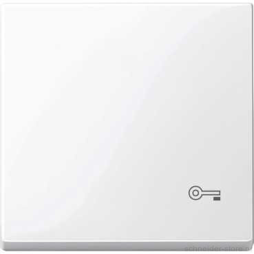 SM Клавиша 1-ная с символом «Ключ»,  активно-бел.