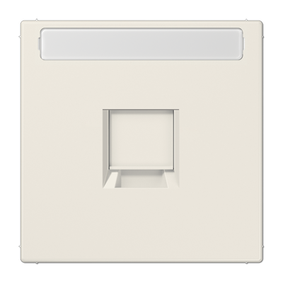 Плата (фиксация защёлкиванием) для одного модуля с полем для надписи; термопласт; слоновая кость, LS1969-1NAWE