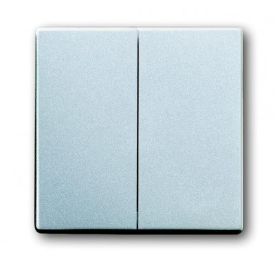 ABB BJE Solo/Future Алюминий Клавиша 2-ая