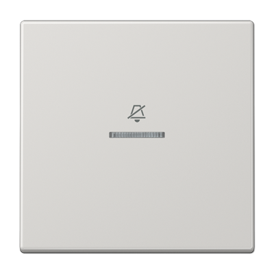 Двойная клавиша на гостиничный выключатель, комнатный модуль, LSRUKO5DLG