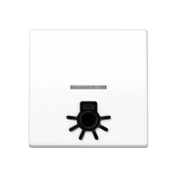 Клавиша с окошком для подсветки и символом "свет"; белая, AS591L1KO5WW