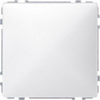 SD Заглушка, полярно-бел. (max 52)