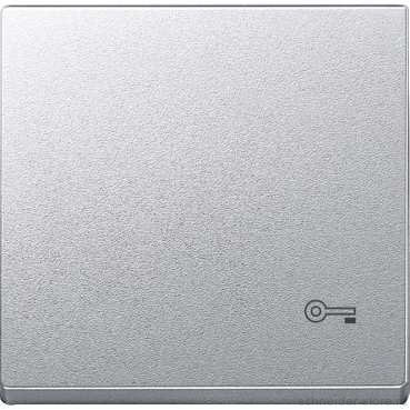 SM Клавиша 1-ная с символом «Ключ»,  алюм.