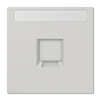 Плата (фиксация защёлкиванием) для одного модуля с полем для надписи; термопласт; светло-серый, LS1969-1NAWELG Плата (фиксация защёлкиванием) для одного модуля с полем для надписи; термопласт; светло-серый, LS1969-1NAWELG