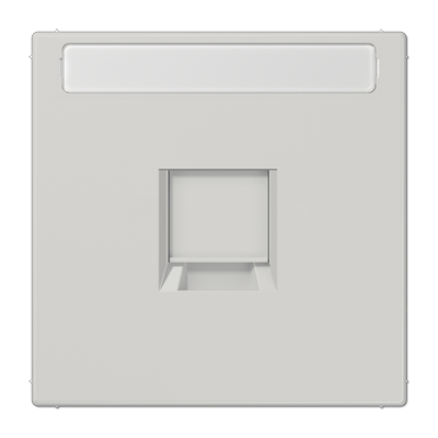 Плата (фиксация защёлкиванием) для одного модуля с полем для надписи; термопласт; светло-серый, LS1969-1NAWELG