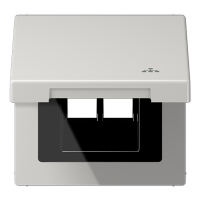 Накладка и крышка для двойных UAE розеток с символом "сеть"; термопласт; светло-серый, LS990BFKLLANLG Накладка и крышка для двойных UAE розеток с символом "сеть"; термопласт; светло-серый, LS990BFKLLANLG