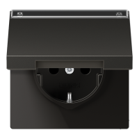 Штепсельная розетка SCHUKO 16A 250V~ с полем для надписи и откидной крышкой; антрацит, AL1520NAKLAN