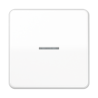 Клавиша для KNX кнопки, 1 группа с окошком; дюропласт; белый, CD101KO5WW