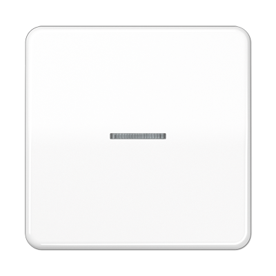 Клавиша для KNX кнопки, 1 группа с окошком; дюропласт; белый, CD101KO5WW