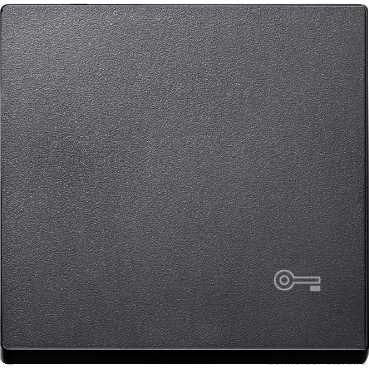 SM Клавиша 1-ная с символом «Ключ»,  антрац.