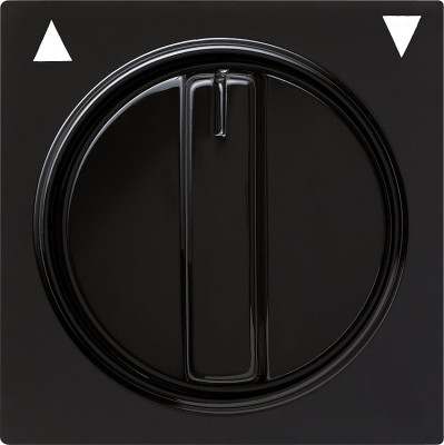 066647 Gira Накладка с ручкой для жалюзи