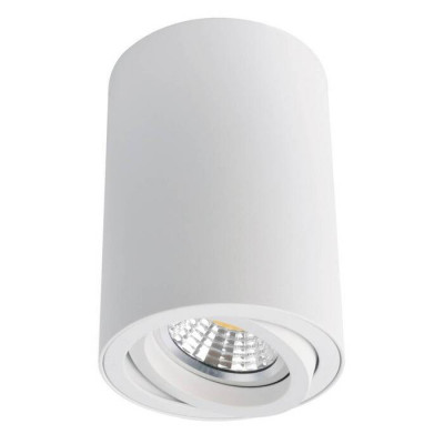Arte Lamp SENTRY, Накладной светильник, цвет арматуры - белый, цвет плафона/декора - , 1х50W GU10, A1560PL-1WH