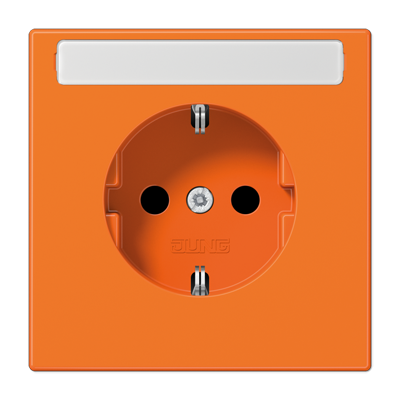 SCHUKO розетка с полем для надписи 9x58 мм, LS1520BFKINAO