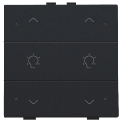 Niko Home Control Черный Кнопка  управления двухканального диммера, LED подсветка, 161-52046