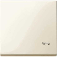 SM Клавиша 1-ная с символом «Ключ»,  алюм.