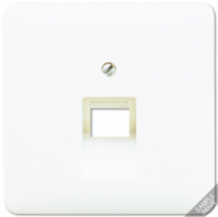 Крышка для одинарных телефонных и компьютерных розеток (UAE), фиксация винтом; термопласт; слоновая кость; CD500, 569-1UA