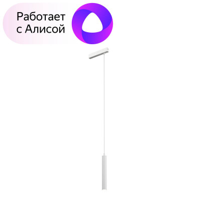 Denkirs DK8008-WH Подвесной светильник SMART HANG 9W DIM 2700K-6000K белый