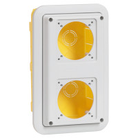 Legrand Коробка для скрытого монтажа - P17 Tempra Pro - IP 55 - для 2 встраиваемых розеток 16 А, 057721