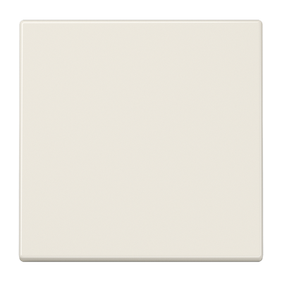 Одинарная клавиша для балансирных механизмов выключателей (кнопок), в комплекте с CD90HP (крепежный элемент), возможно IP44; дюропласт; слоновая кость; LS990, LS990