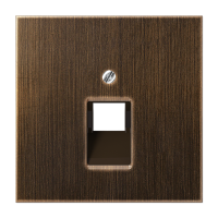 Крышка для одинарных телефонных и компьютерных розеток (UAE), фиксация винтом; металл; латунь antik; Messing, ME2969-1UAAT