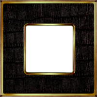 FD01321AOB Fede Vintage Tapestry Рамка 1-ная, Alicocobrown-Bright Gold