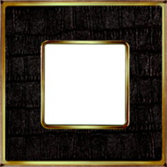 FD01321AOB Fede Vintage Tapestry Рамка 1-ная, Alicocobrown-Bright Gold