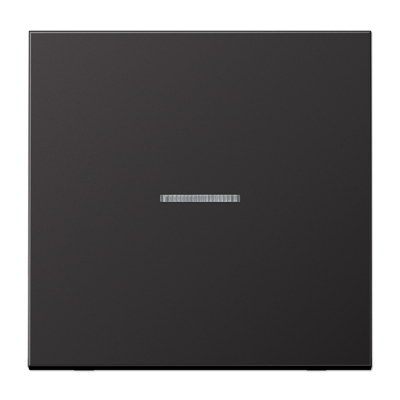 Клавиша для KNX кнопки, 1 группа, с окошком; металл; дарк, AL101KO5D