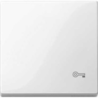 SM Клавиша 1-ная с символом «Ключ»,  бел.