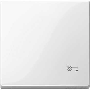 SM Клавиша 1-ная с символом «Ключ»,  бел.