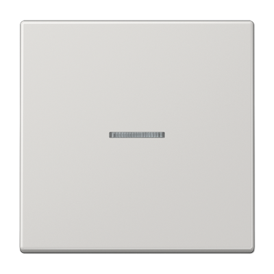 Клавиша для KNX кнопки, 1 группа, с окошком; дюропласт; светло-серый, LS101KO5LG