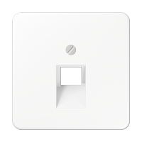 Крышка для одинарных телефонных и компьютерных розеток (UAE), фиксация винтом; термопласт; белый; CD500, CD569-1UAWW