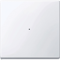 SM, КЛАВИША ДЛЯ МОДУЛЯ 1 КН. ВЫК, АК.БЕЛ SM, КЛАВИША ДЛЯ МОДУЛЯ 1 КН. ВЫК, АК.БЕЛ