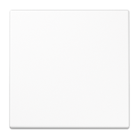 Одинарная клавиша для балансирных механизмов выключателей (кнопок), в комплекте с CD90HP (крепежный элемент), возможно IP44; дюропласт; белый; LS990, LS990WW Одинарная клавиша для балансирных механизмов выключателей (кнопок), в комплекте с CD90HP (крепежный элемент), возможно IP44; дюропласт; белый; LS990, LS990WW