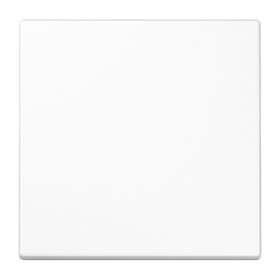 Одинарная клавиша для балансирных механизмов выключателей (кнопок), в комплекте с CD90HP (крепежный элемент), возможно IP44; дюропласт; белый; LS990, LS990WW