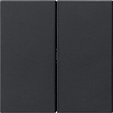 5362005 Gira Накладка управления 2-местн. System 3000