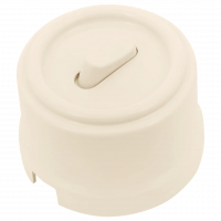 Bironi Кнопка (одноклавишная), пластик, цвет Песочное золото, B1-220-24-PB